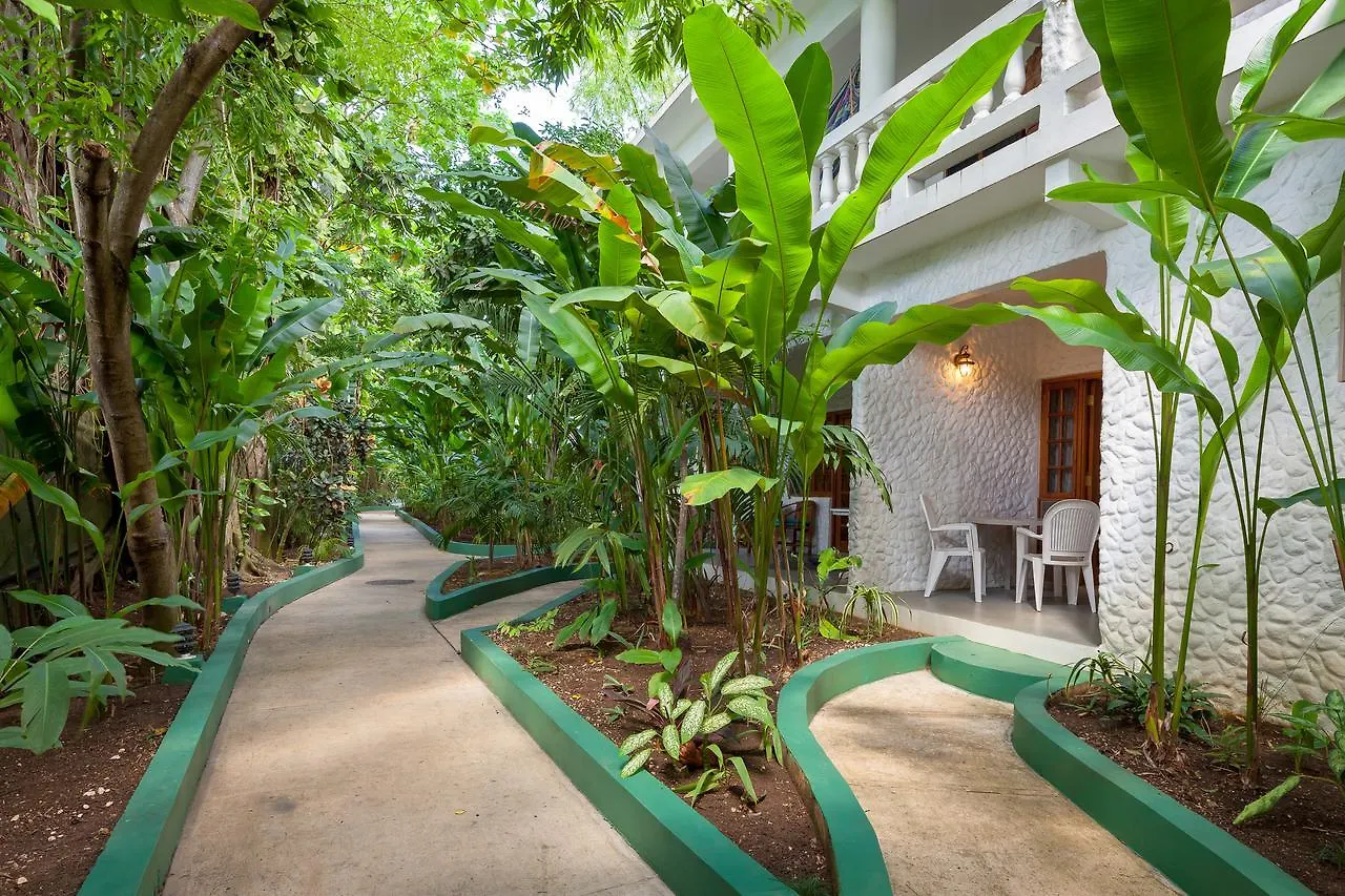 Beach House Condos, נגריל מלון